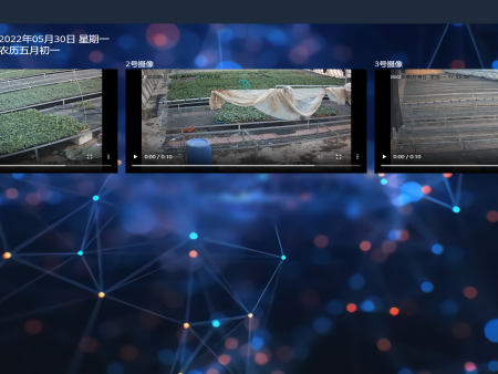 九游会：稻浪翻金秋色好！2025年中国农民丰盈节浙江主场活动发动