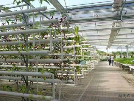 九游会：俄罗斯圣彼得堡国际农业展览会(AGRORUSS)